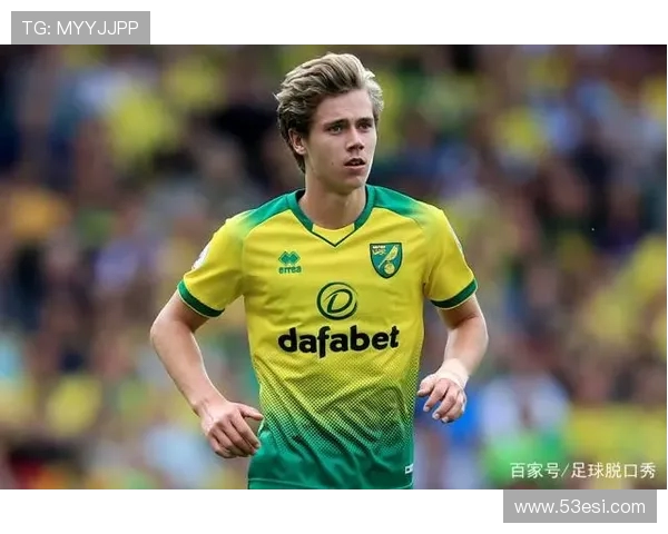 英超职业球员的平均年龄与球队年龄结构分析